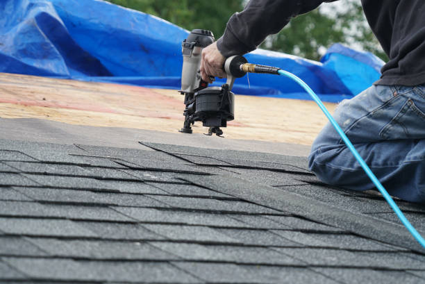 Best Shingle Roofing Installation  in Cortland West, NY