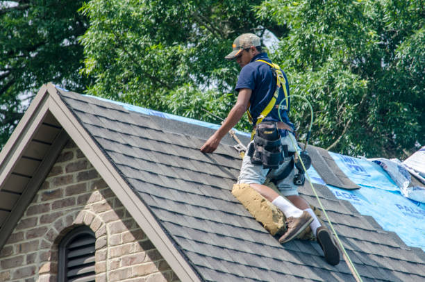 Best Roof Restoration Services  in Cortland West, NY